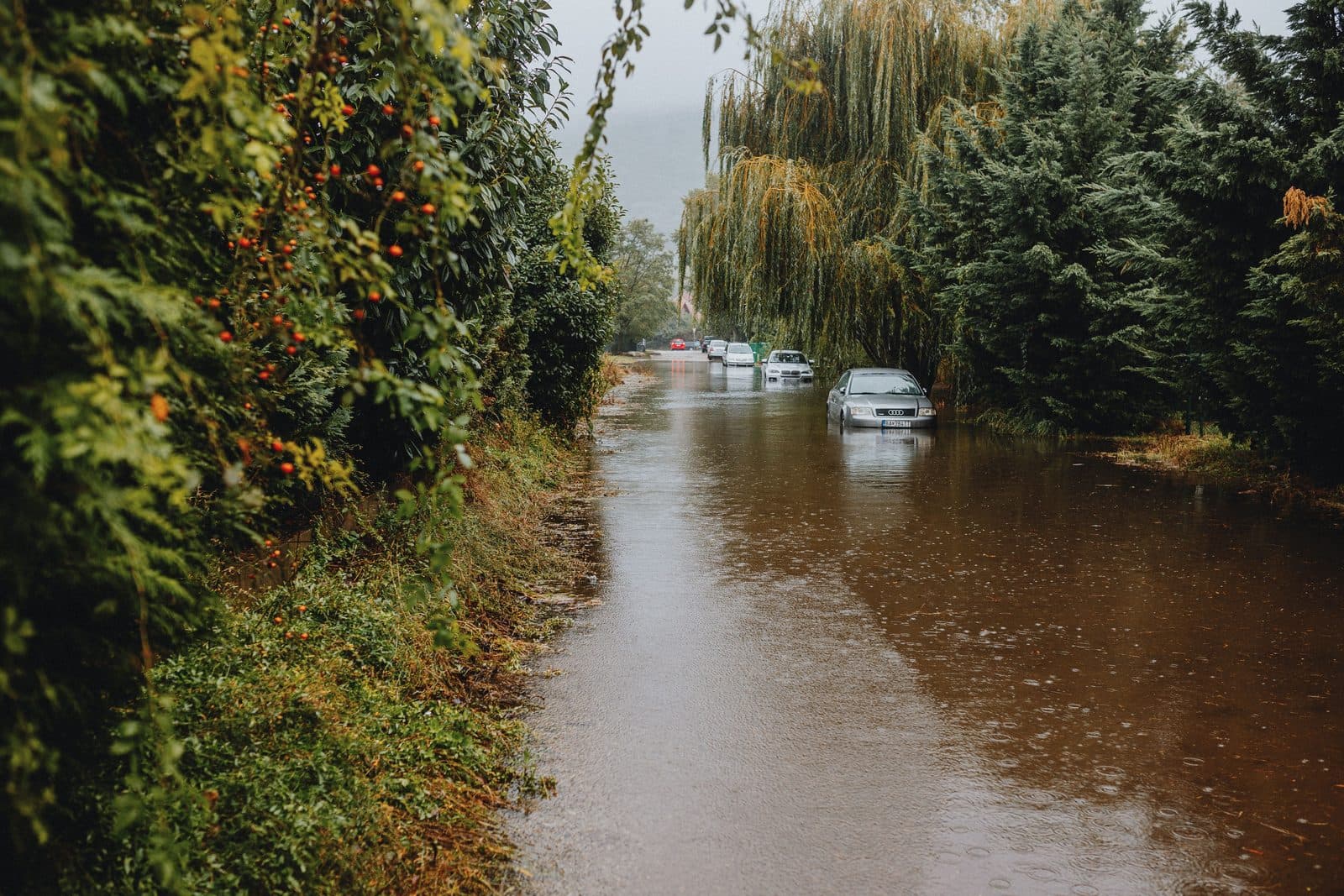 Aluminium Flood Barriers: Specs & Cost Guide
